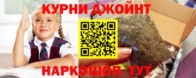 гидропоника Пенза