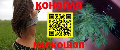 молекула духа Партизанск