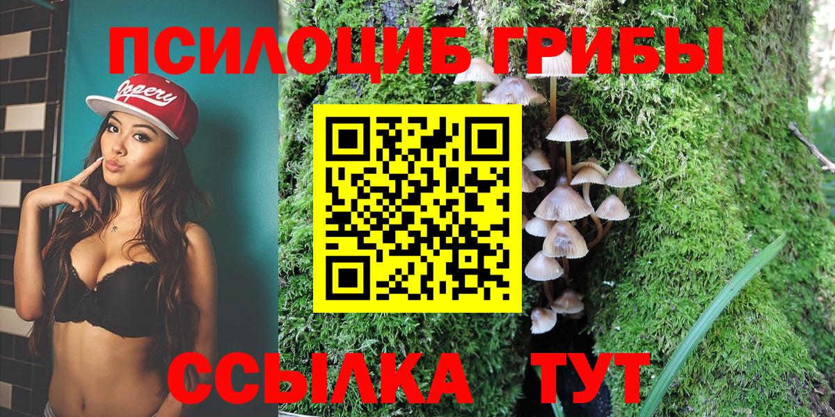 Родники  Галлюциногенные грибы Magic Shrooms  Вход с VPN  Псилоцибиновые грибы прущие грибы 
